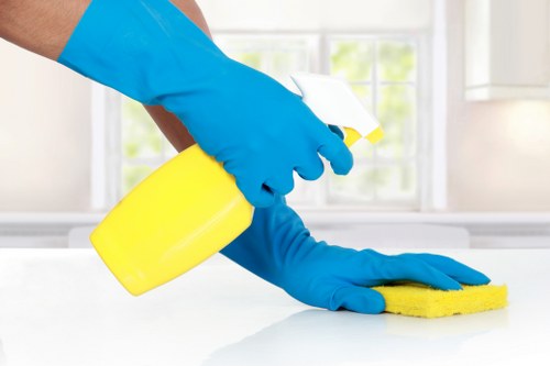 Common household stains treated by stain removal specialists
