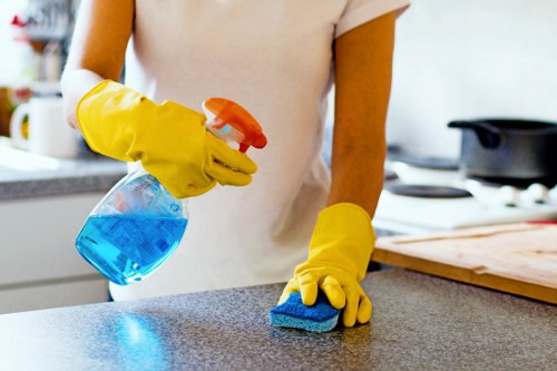 Professional carpet cleaning team working responsibly and safely