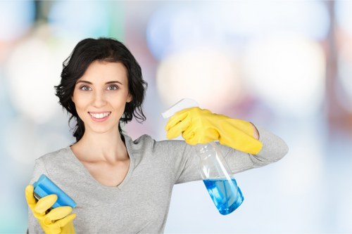 Deep carpet cleaning removing dirt and allergens from carpet fibres