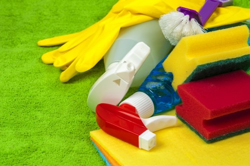 Professional carpet cleaner working in a domestic property