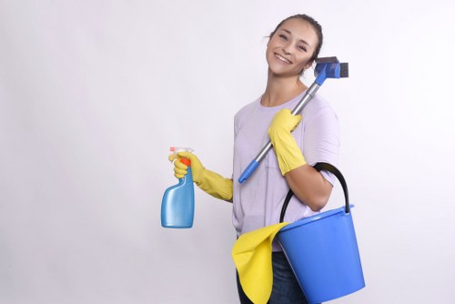 Carpet cleaning equipment used in Chadwell Heath