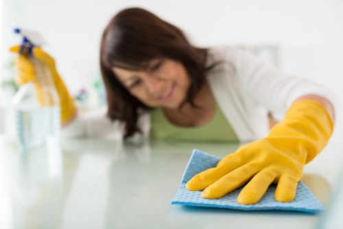 SSL-encrypted carpet cleaning payment process